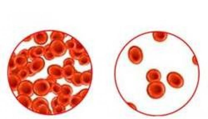 Si të rritet hemoglobina e një fëmije në shtëpi?
