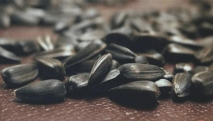 Ako smažiť semená - „variť“ lahodné vyprážané semená Čo to znamená dať semená?