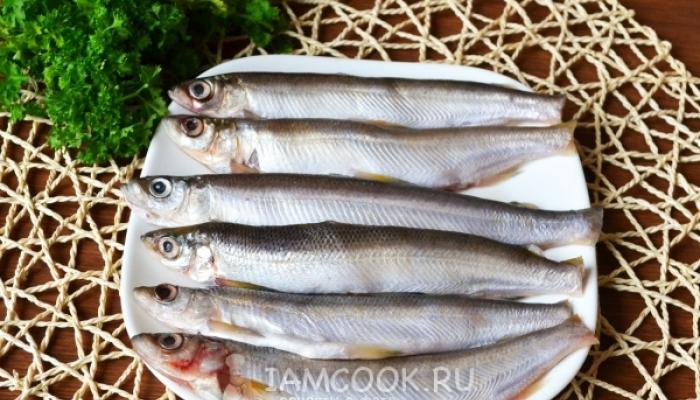 Vendace - cara memasak ikan ini di oven: resep